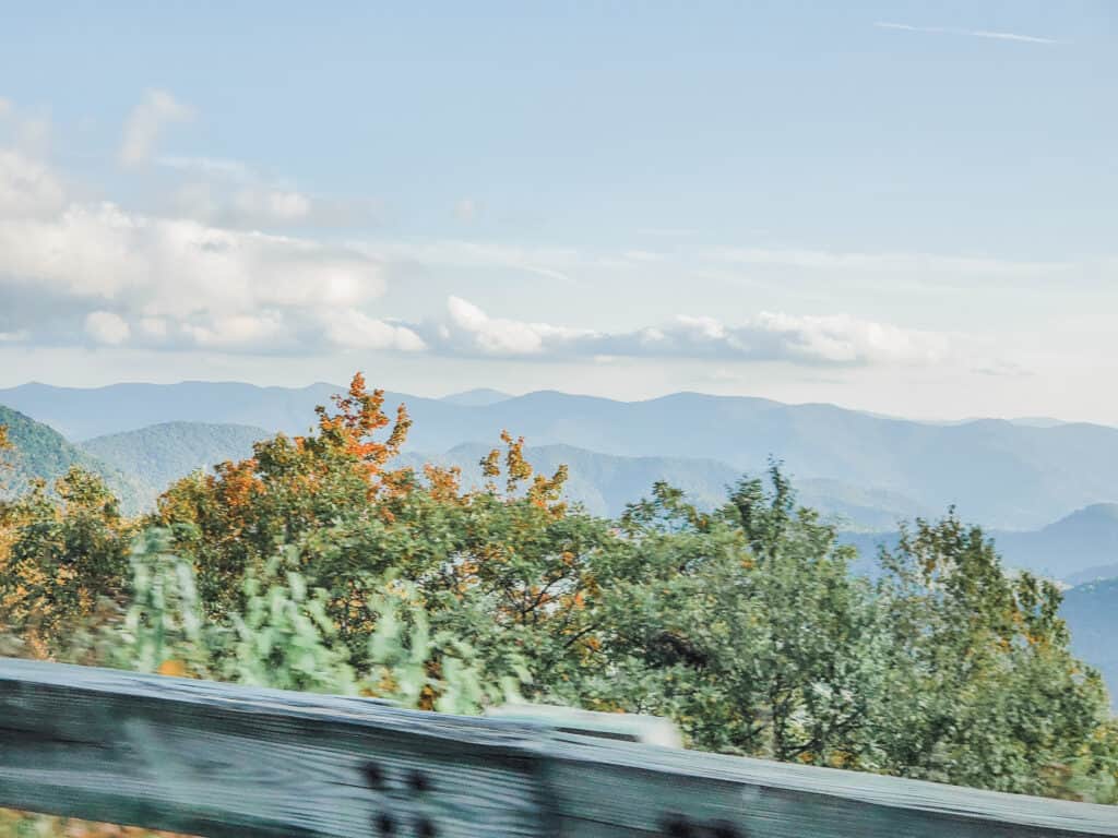 4 days in Asheville