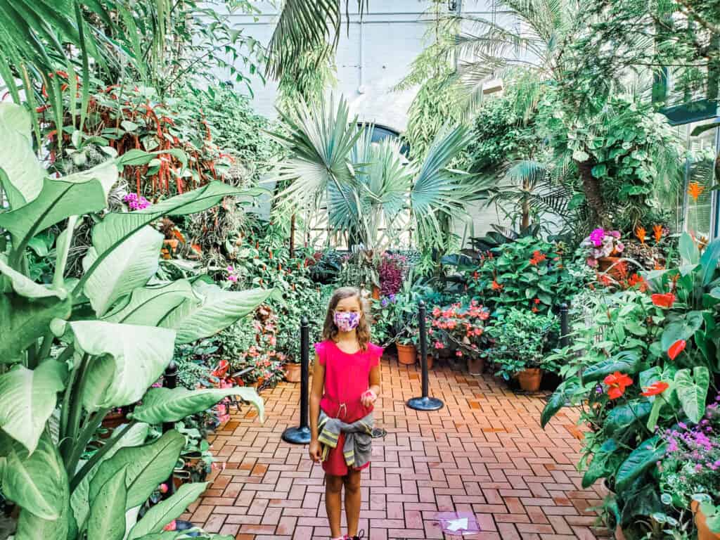 conservatory asheville