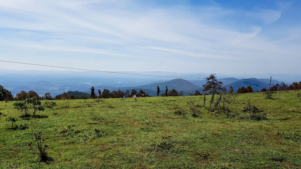 4 days in asheville