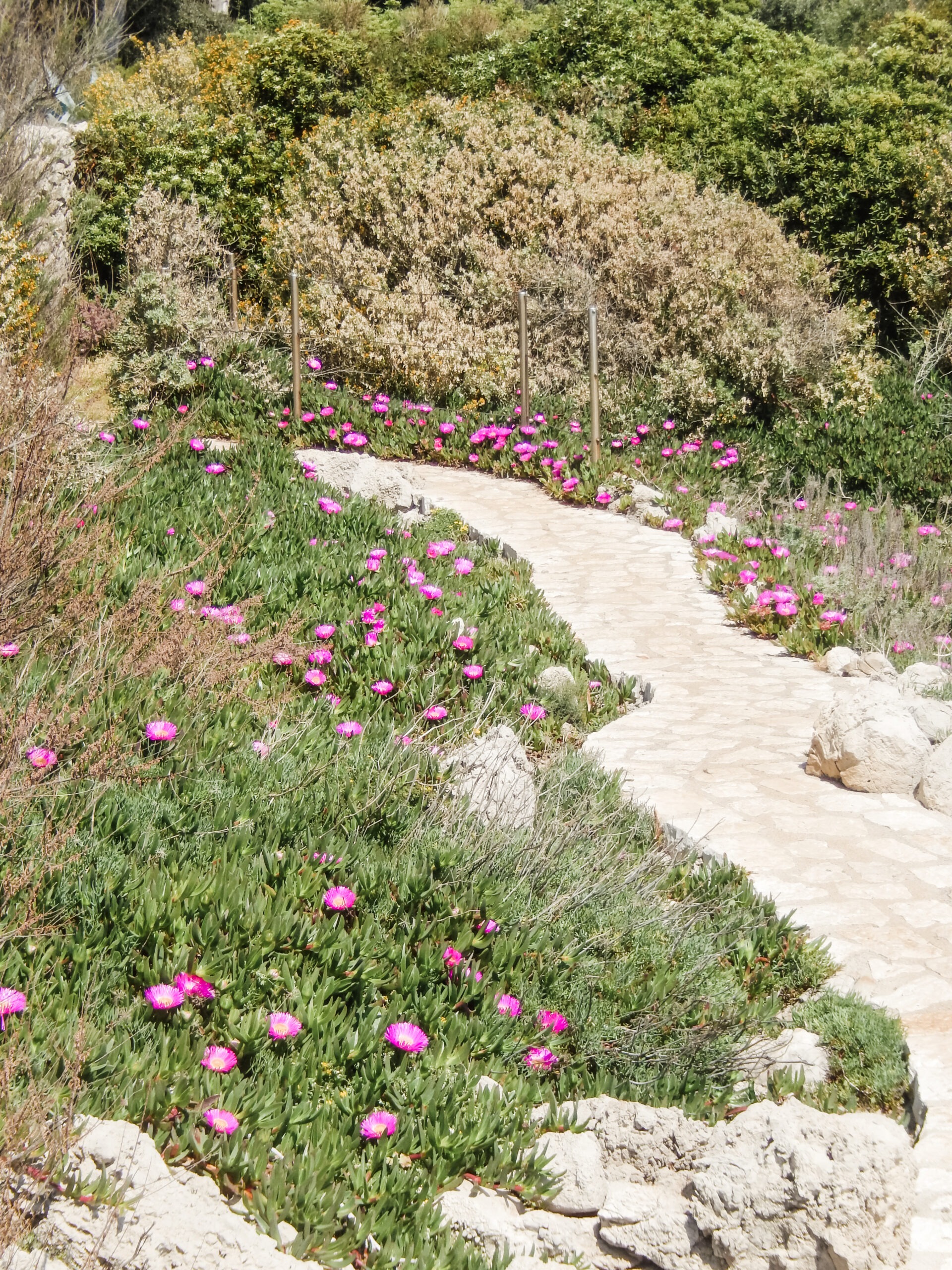 sentier-du-littoral