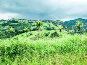 Driving in Costa Rica in 2024: EVERYTHING You Need to Know