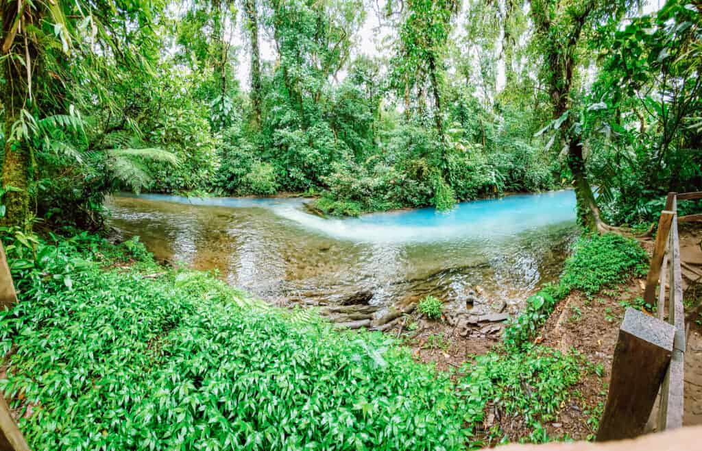 Tenideros in the Rio Celeste, where the water mixes and the color changes.