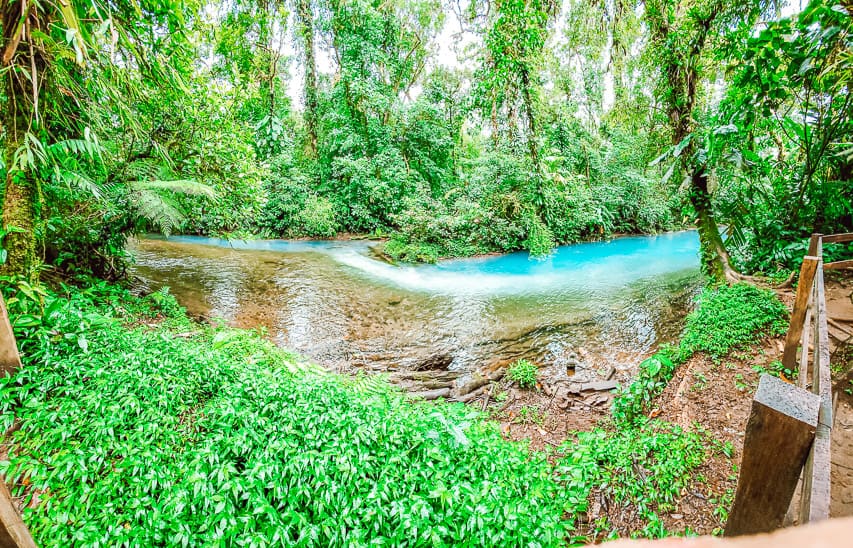 Two sources of water meet and mix in a river, and the water turns from clear-ish and brown to a milky blue. The river is surrounded by lush jungle.