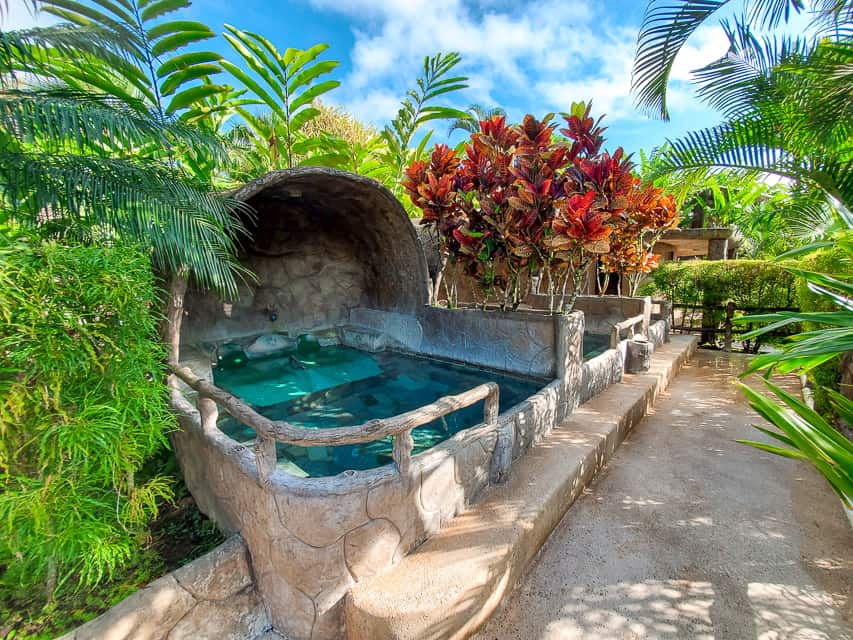 A semi-covered small, manmade, hot springs pool is surrounded by lush vegetation and tropical ferns. A blue sky is overhead.