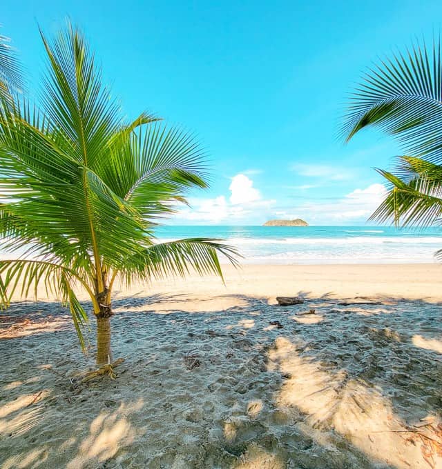 A view of the beach at Manuel Antonio. - the viewer is on the sand, looking at the light blue sea, and there are a couple of palm trees in front of the viewer on the sand. While few hotels are beach front, many of the best hotels in Manuel Antonio will give you a view of the ocean from above.