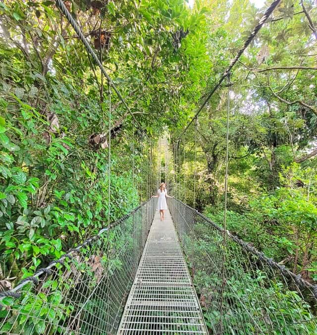 A woman in a white dress is walking along a suspension bridge high up in the rainforest canopy. She is looking out over the rainforest, and trees and palms are all around the bridge.