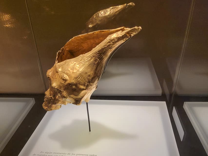 A golden conch shell (or similar type shell) is on display in a case.