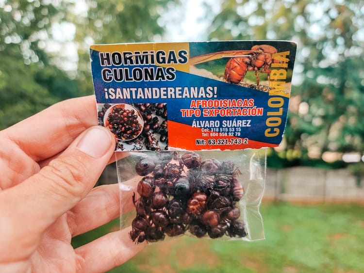 A package of Hormigas Culonas, or big butt ants. A supposed aphrodisiac you can try in Colombia.