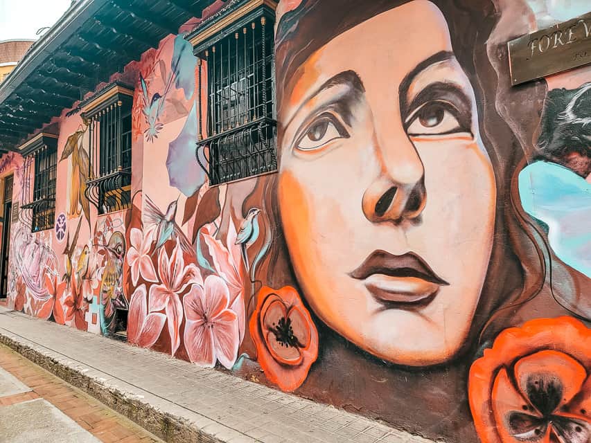 Street art on a wall in Bogota. A woman's face is painted on the wall, with flowers, hummingbirds, and leaves behind her.