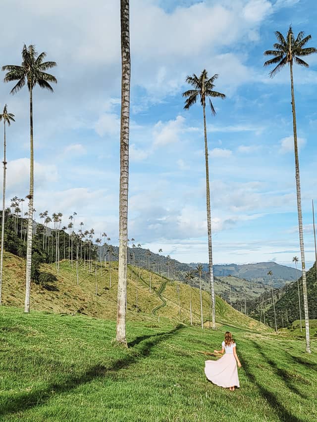 A woman in a pink, flowy skirt stands on a grassy field among wax palm trees. About 4 trees are in the foregound with her, with dozens more in the background. Several hilly ridges are also in the background. Hiking the Cocora Valley is one of the best things to do in Salento.