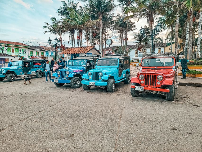 This is the town square, you can see buildings and palm trees in the background, and the willy jeeps in the foreground.