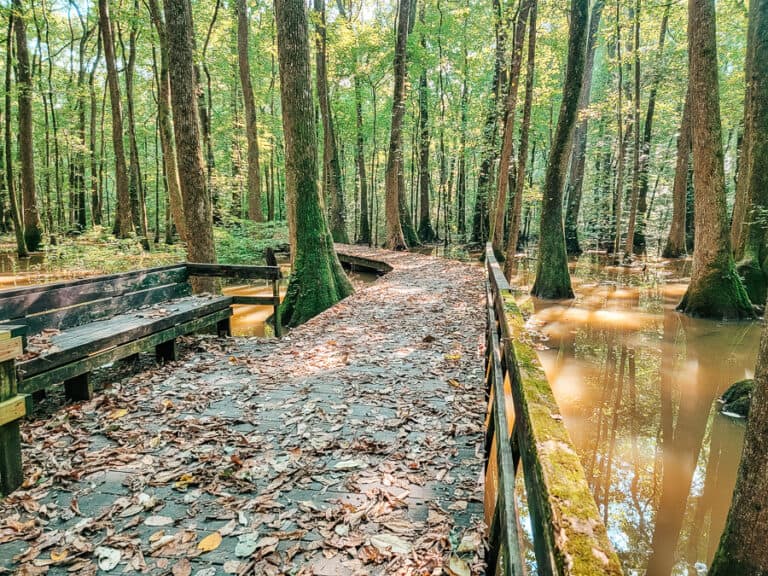 23 Exciting Day Trips from Huntsville, AL