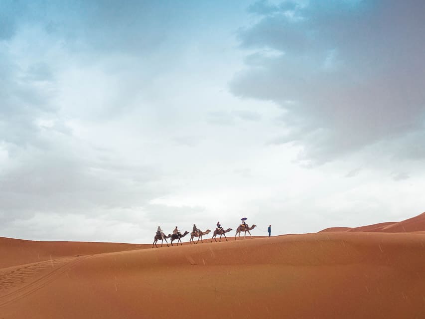 A line of 5 camels climbs along the ridge of a sand dune in the distance, led by a lone person walking in front.