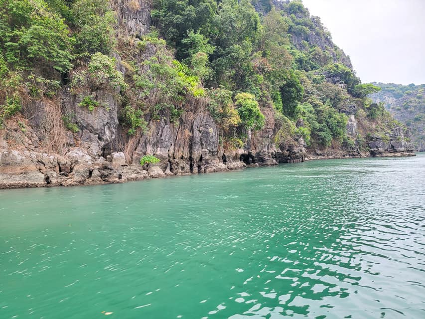 A picture of the clean teal water along the side of the rocky, grass overbrush on the sheer rock islands.