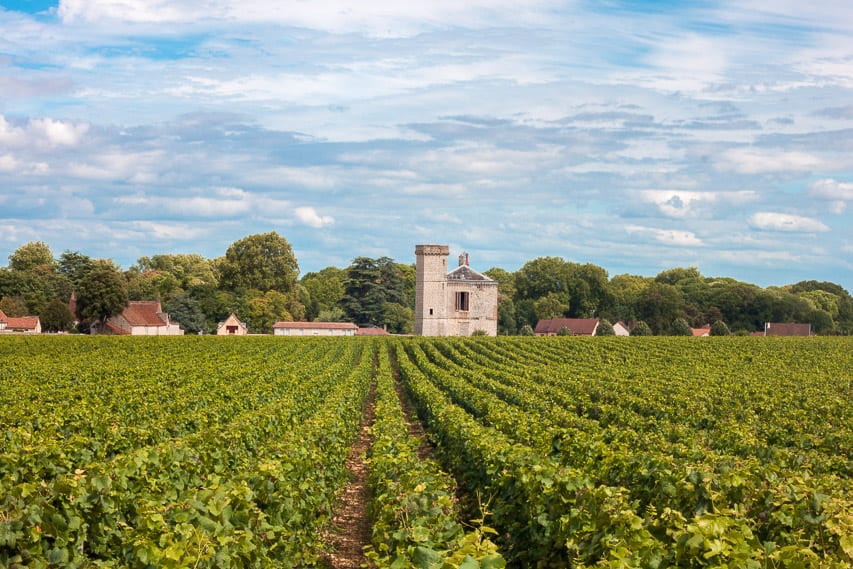 Repeating rows of grapes next to a stone building for pressing the grapes.