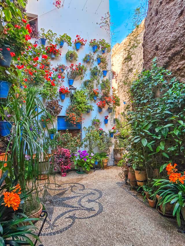 This is a small patio with white walls on several sides and a stone wall on the far side. There's a star design in the floor tilework, and blue flowerpots are hung far up on the wall and are filled with bright colorful flowers and plants.