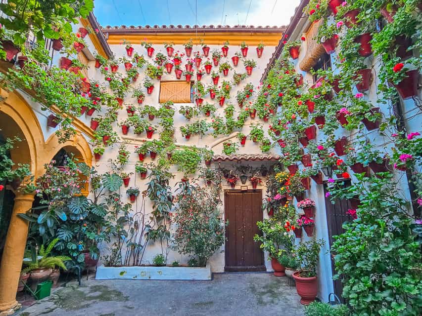 A patio with tan arches and white walls is completely covered with brown flowerpots holding pink and red flowers. Greenery also abounds.