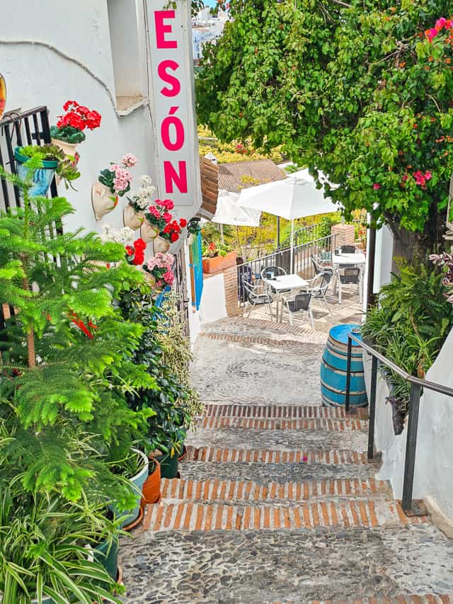 A small staircase leading through lots of plants and pink flowers to a small restaurant looking out into the blue ocean.