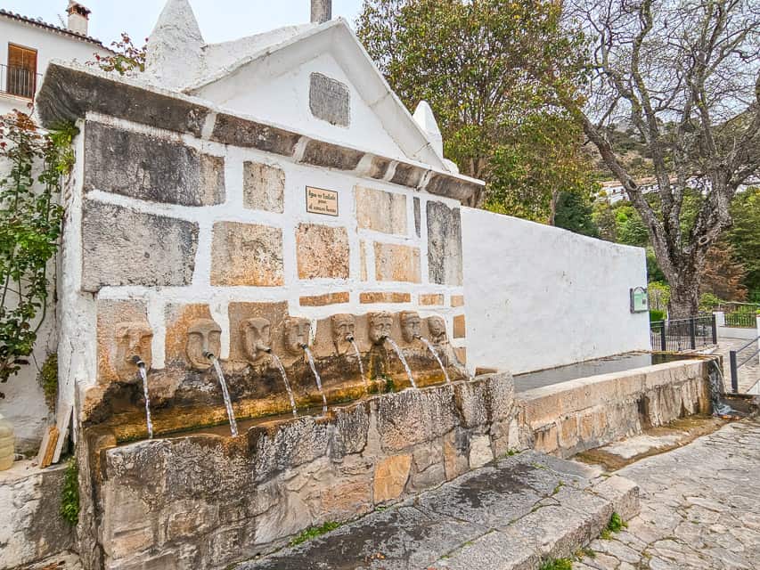 A fountain with a long skinny trough for water and 8 different spouts that look like heads having water stream out of them. The fountains are a top thing to see in Grazalema.