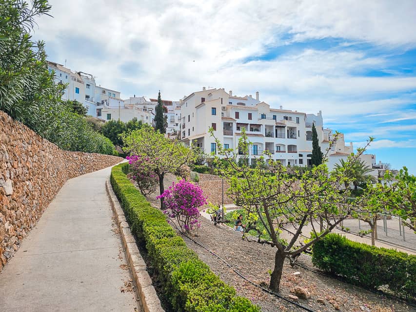 A cement path leading throughout the garden with purple flowers and green trees surrounding the square with white building surround the park.