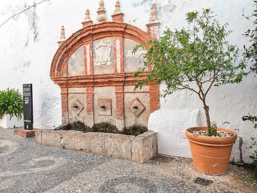 A stone wall with a small tree on the side and orange carvings on the side of the wall.