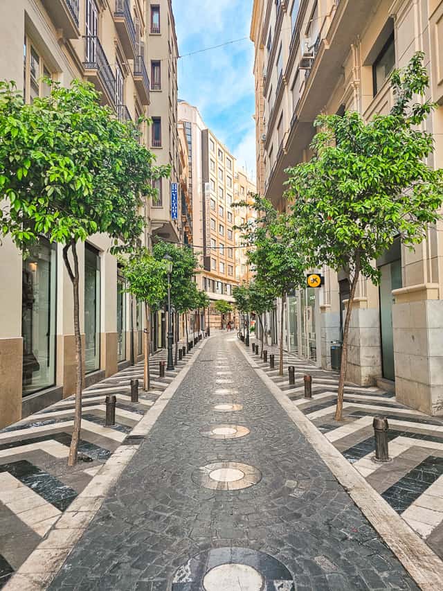 A more modern streeet in Malaga, with small trees lining the street, nice tilework, and a more plain exterior.