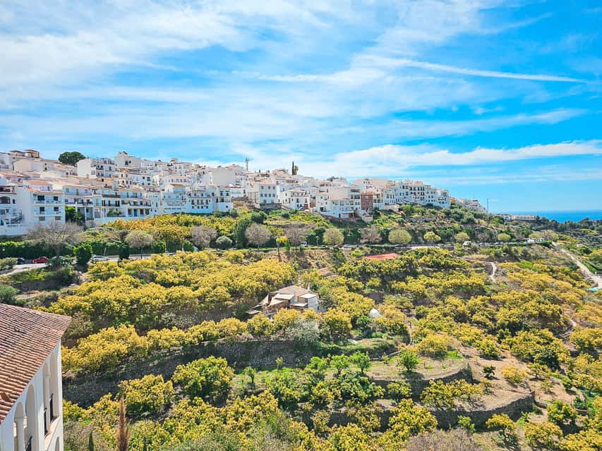 A viewpoint looking over at he city's white buildings with a garden / park heading down from the buildings.