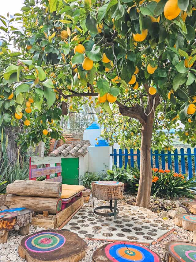 A tree filled with lemons overlooks a little patio set with benches and seating areas.