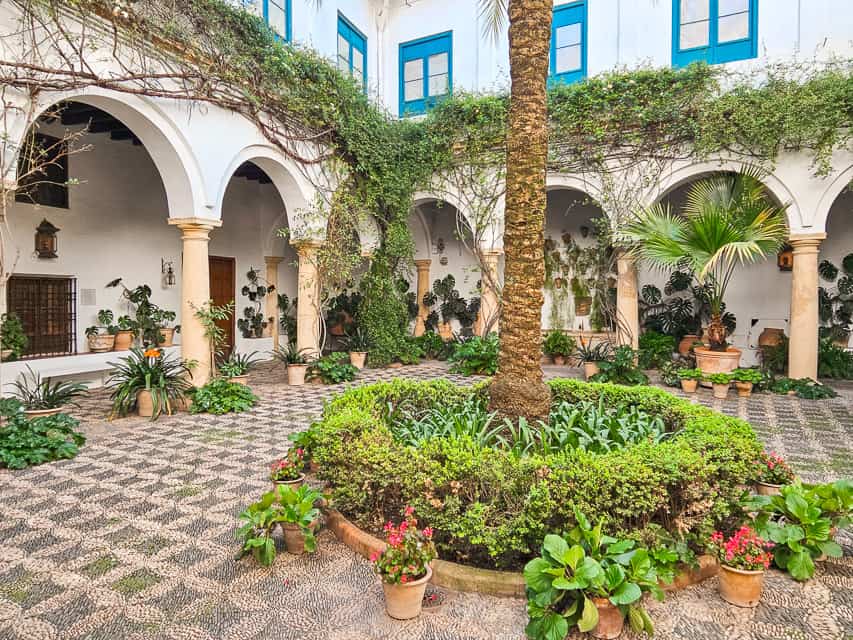 This patio has lovely white arches with tan columns underneath, green vines growing on top of the arches, and blue windows in the buildling above. Tehre are potted plants set throughout the patio, and a tall palm tree in the center.