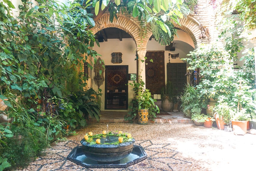 A small, low, black fountain sits in the mdidle of a small courtyard, with bricked arches in the background and greenery growing wild on the left side of the courtyard. Plants in pots line the sides of the right side of the patio.