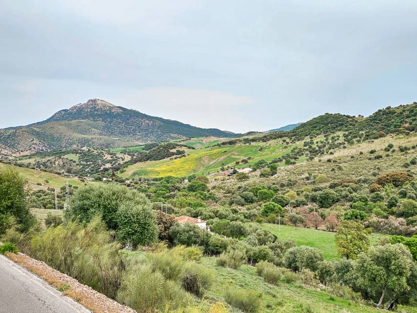 Rugged hills with brush, grass, and shrubs near Seville, Spain, representative of what you may see on your Spanish road trip.
