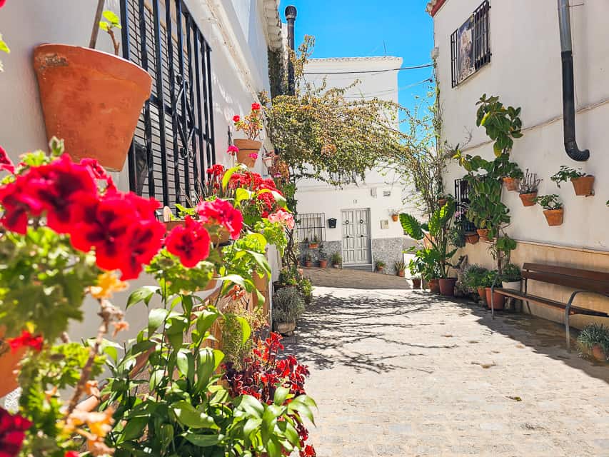 Walkway with flowers along the side.