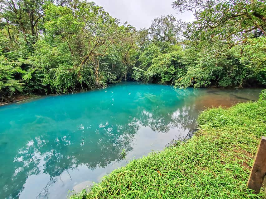 Deep blue lagoon with trees surrounding it.