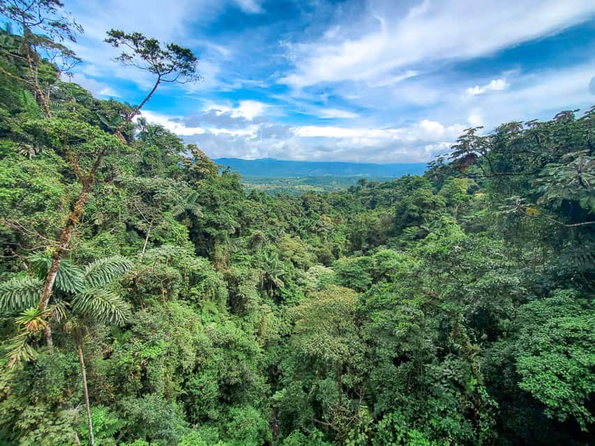 A view of the rainforest and mountains in the distance with lots of clouds in the sky.