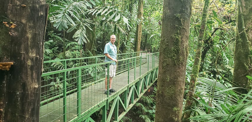 A man stands in the middle of a stationary bridge in the rainforest.
