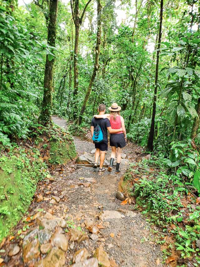 2 people on a rocky trail walking through a rainforest.