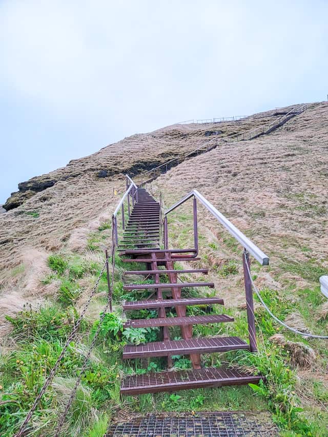 Metal stairs go up a grassy mountain.