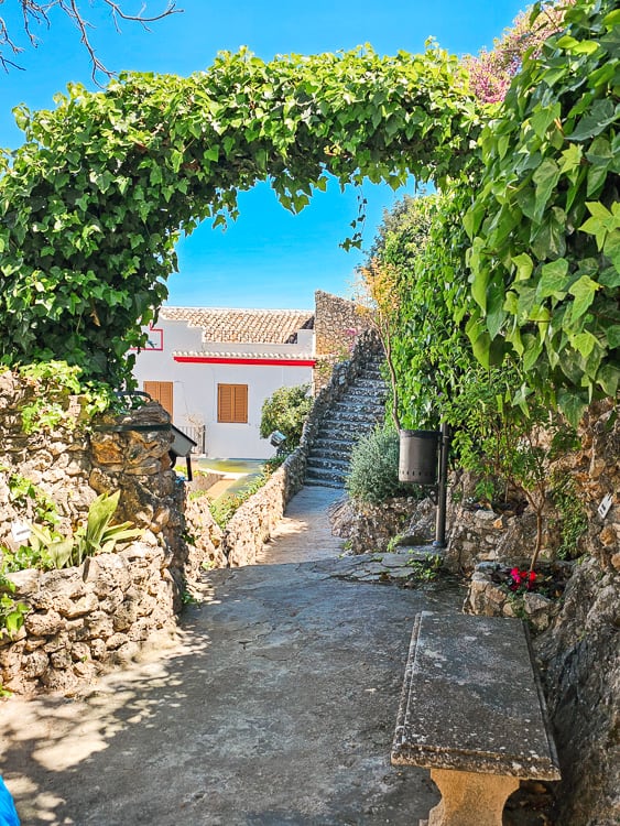 Walkway with vine arch above it, one of the best places to go in Olvera.