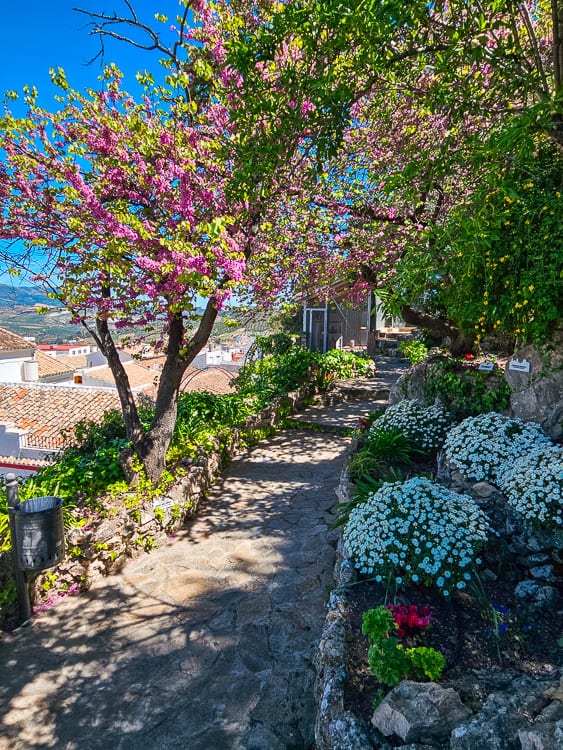 Walkway with flowers along it.