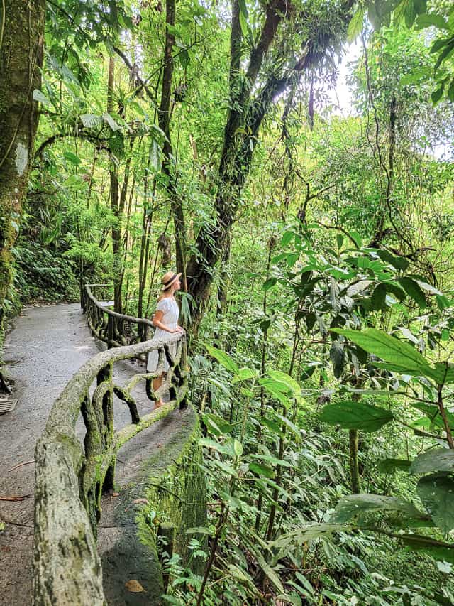 A woman in a white dress stands on a pathway, looking out over the jungle in Mistico Park in La Fortuna.