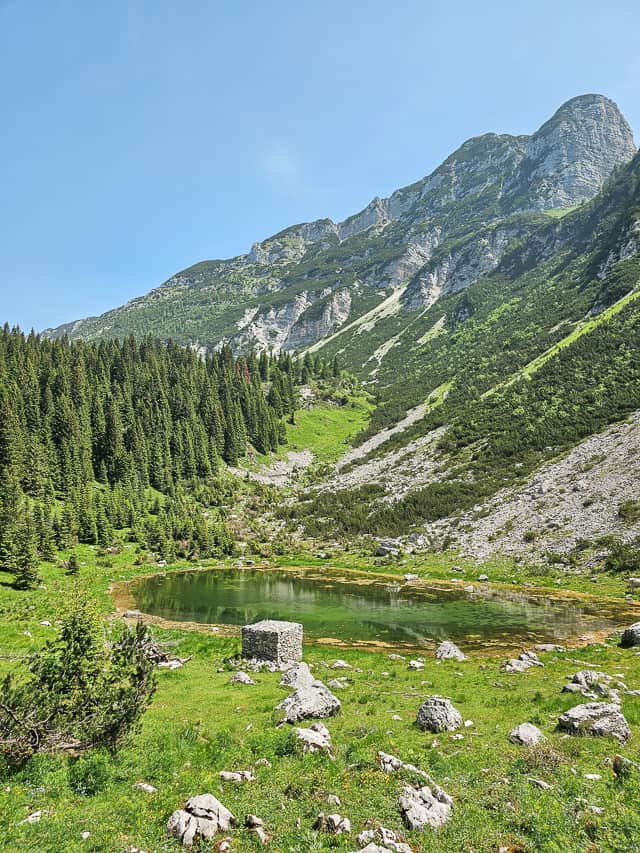 A small pond with leaves on the surface of the water with a lush forest of evergreen pine trees at the slope of the mountain and a solid cube rock at the edge of the pond.
