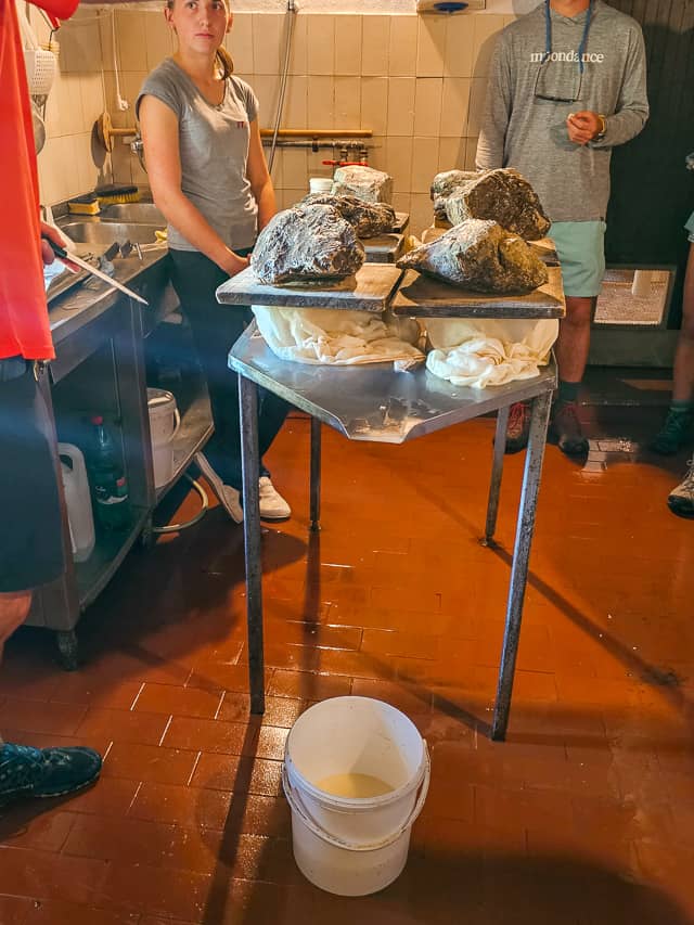 A table with 4 rocks pressing down on the wheels on chese so and it floats down into a bucket.