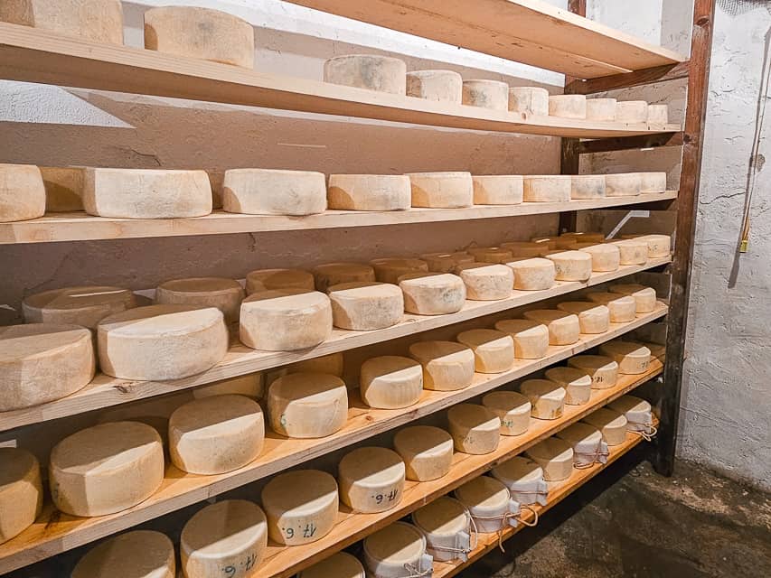 A shelf with multiple wheels of cheese with white dust in a rock room.