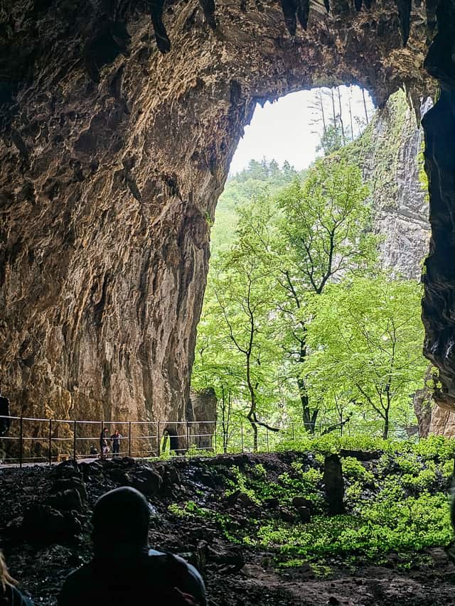 A path takes people throughout the large cave opening to the forest and trees.