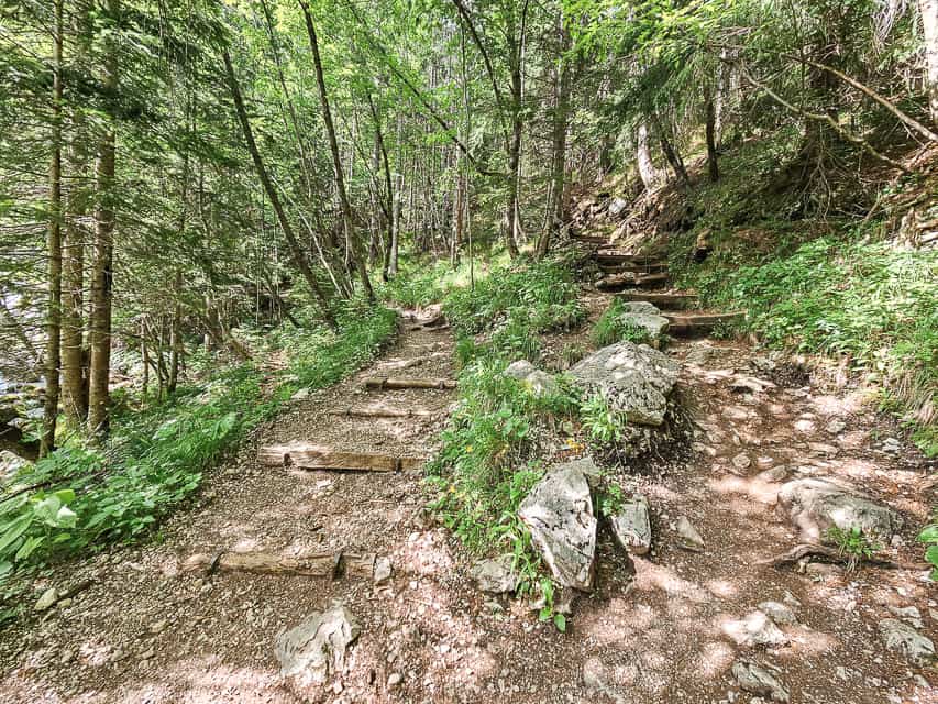 The trail splits into two trails with steps on one.