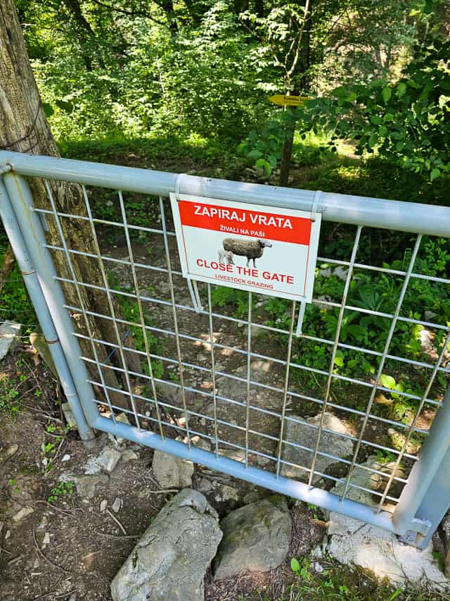 A grey metal gate has a white sign with a sheep in the foreset.