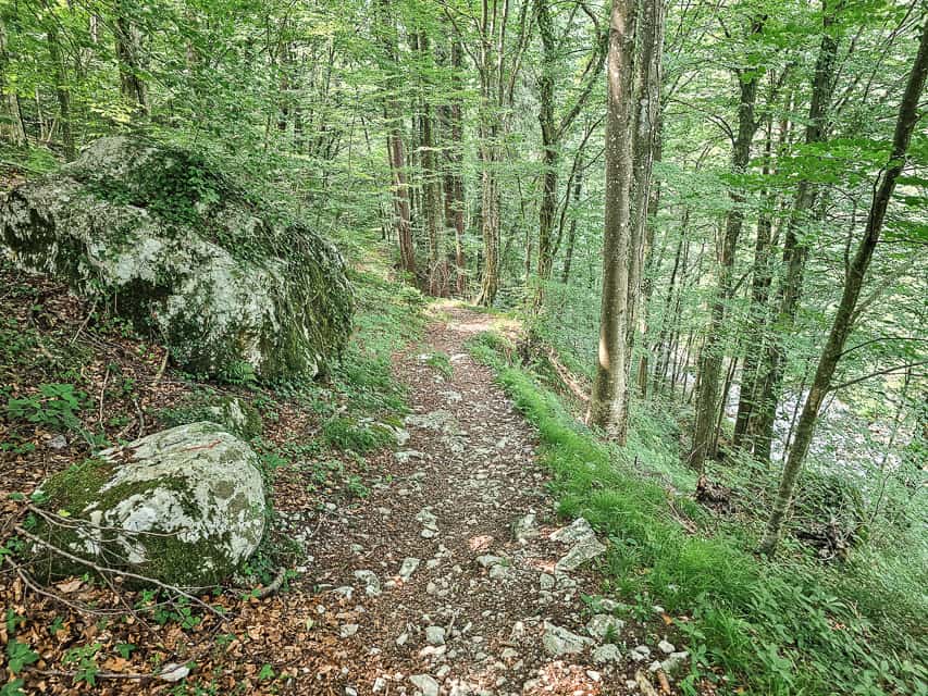 A dirt and stone path winds through the forest with a stream barely visible through the trees.