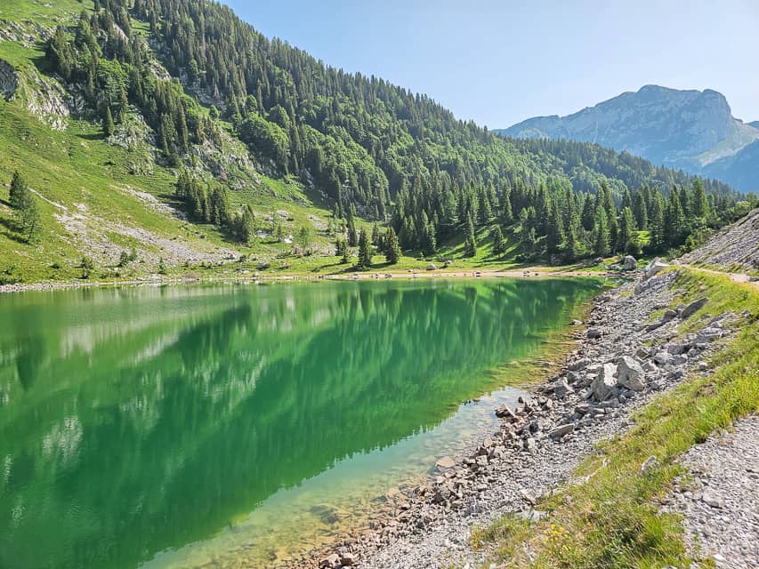 A green lake reflecting the green pine trees on the base of the white rock mountain and white rocks surrounding the edge of the lake.