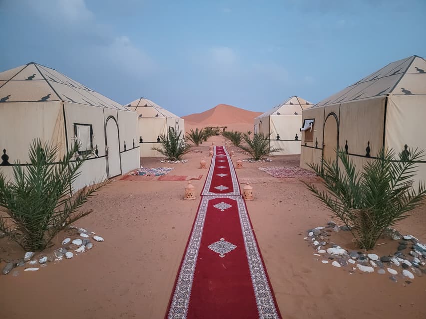 Four glamping tents lines up with a red carpet in the middle of the four. There are plants in between all of the tents with lanterns also.