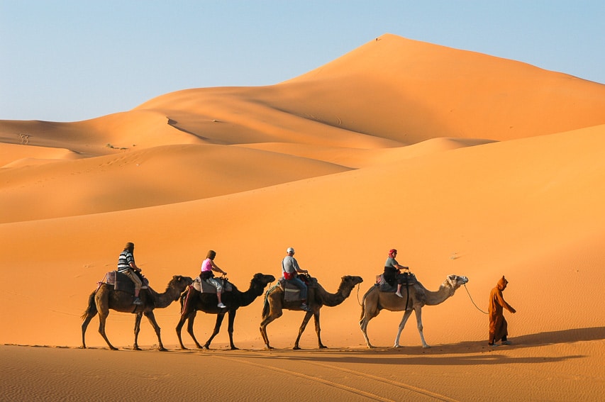 A group of four people with a tour guide riding on camels on the sand dunes in the Sahara deserts.
